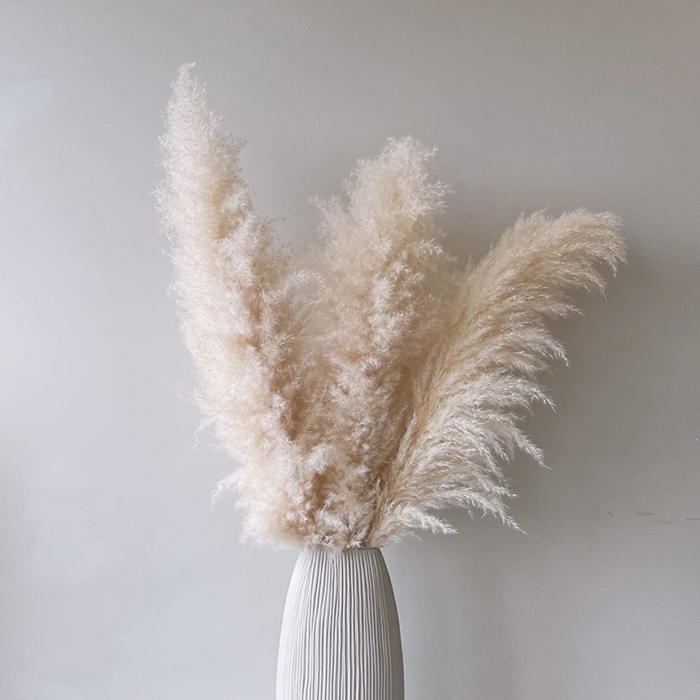 LUXE B Pampas Grass
